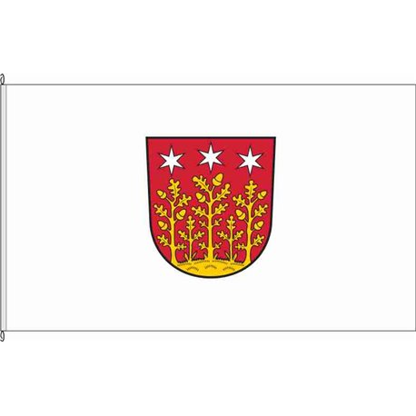 Fahne Flagge ERB-Reichelsheim (Odenwald)