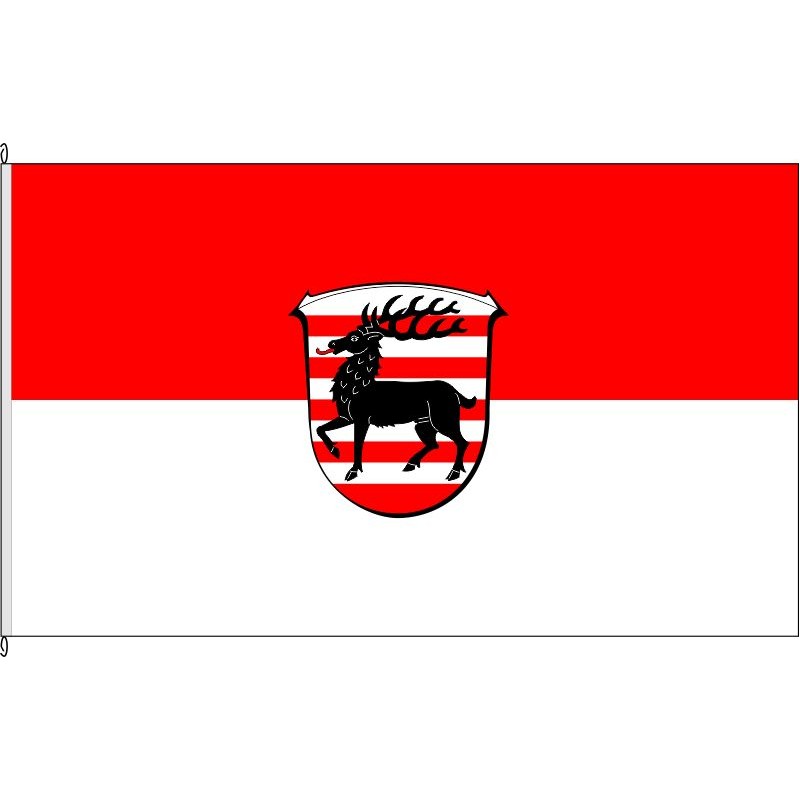 Fahne Flagge FB-Ranstadt