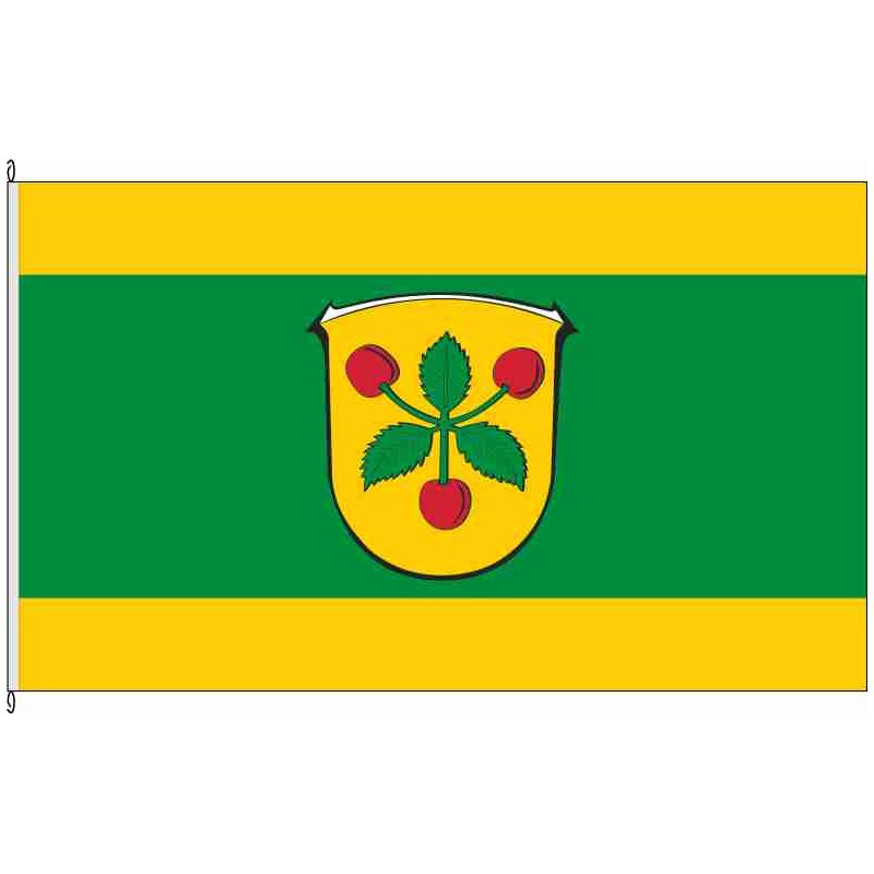 Fahne Flagge MR-Dexbach