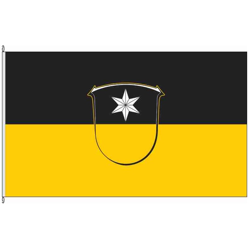 Fahne Flagge MR-Rauschenberg