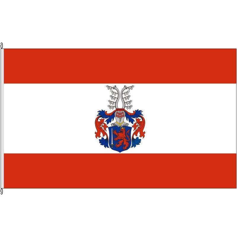 Fahne Flagge VB-Alsfeld (Variante)