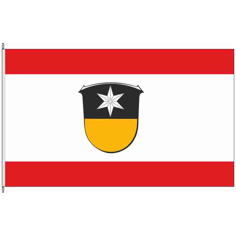 Fahne Flagge VB-Nieder-Gemünden