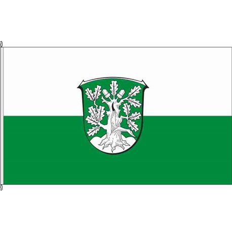 Fahne Flagge KS-Reinhardshagen
