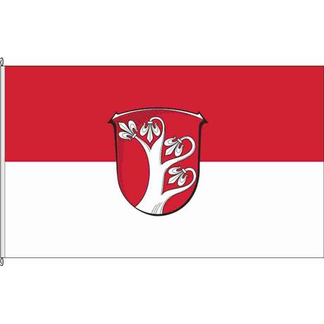 Fahne Flagge KS-Söhrewald
