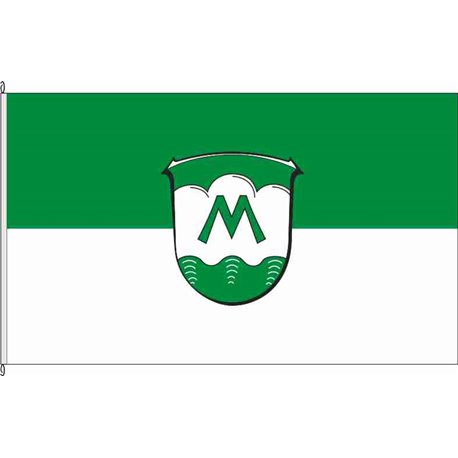 Fahne Flagge ESW-Meinhard