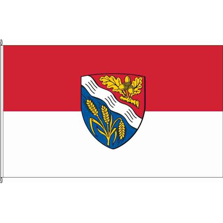 Fahne Flagge ESW-Ringgau