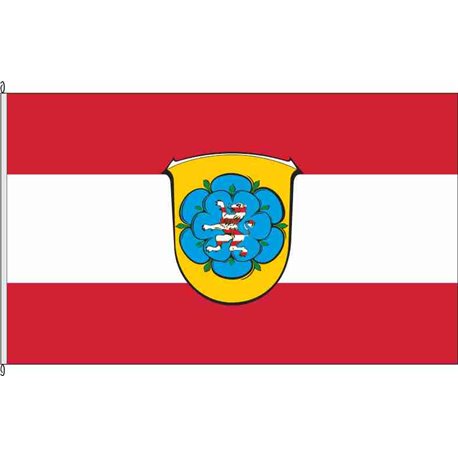Fahne Flagge ESW-Sontra