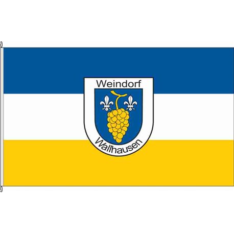 Fahne Flagge KH-Wallhausen