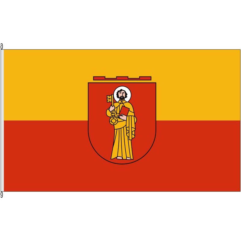 Fahne Flagge TR-Trier