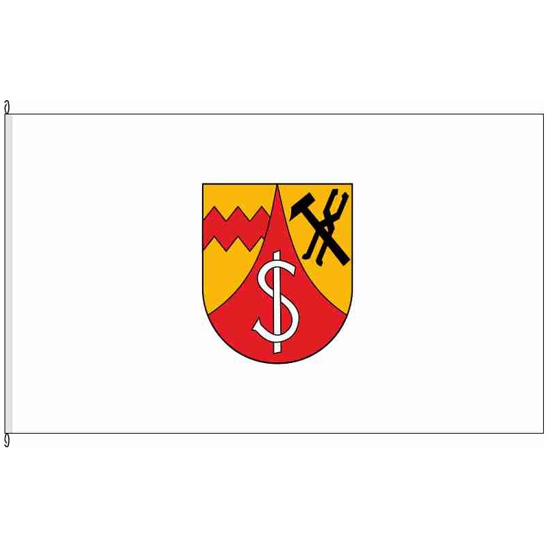 Fahne Flagge WIL-Eisenschmitt