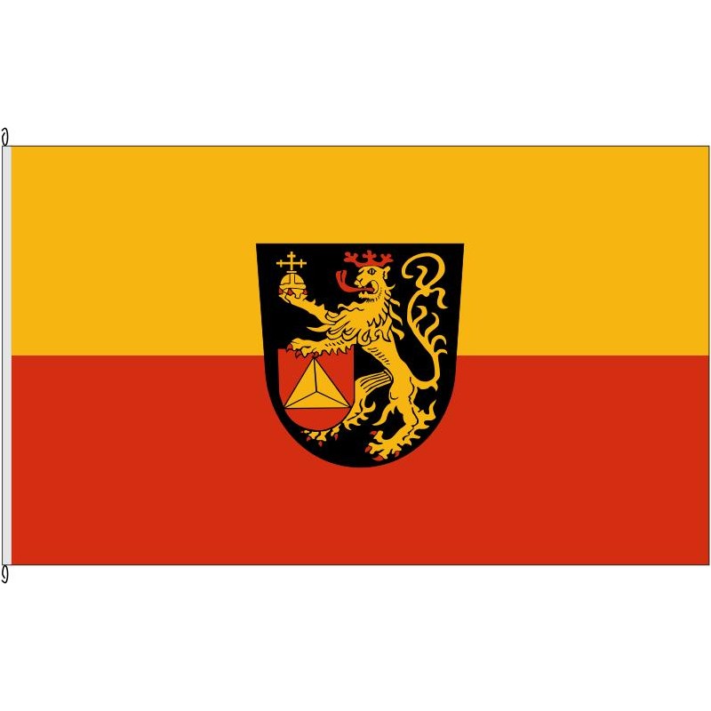 Fahne Flagge FT-Frankenthal (Pfalz)