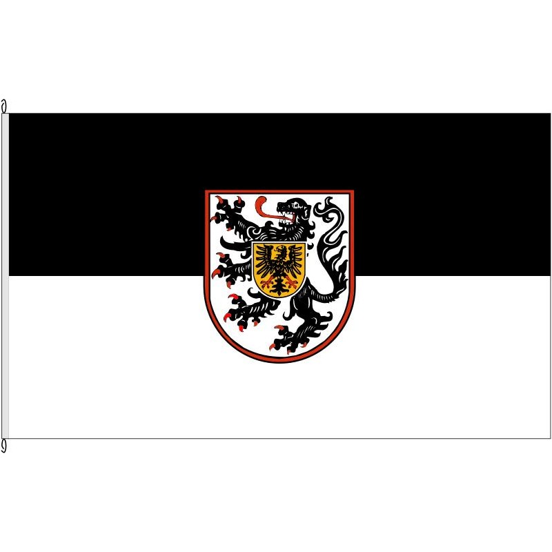 Fahne Flagge LD-Landau in der Pfalz