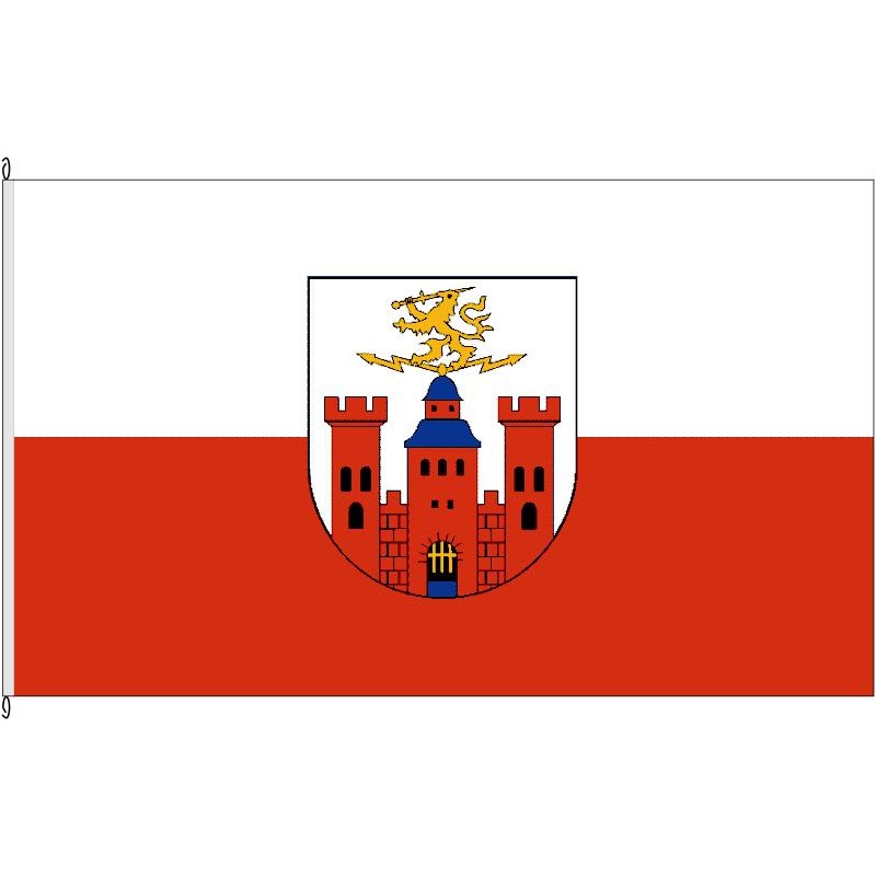 Fahne Flagge PS-Pirmasens