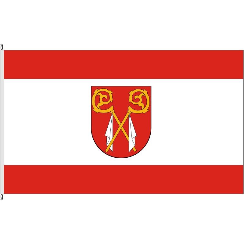 Fahne Flagge AZ-Alsheim