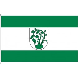 AZ-Erbes-Büdesheim