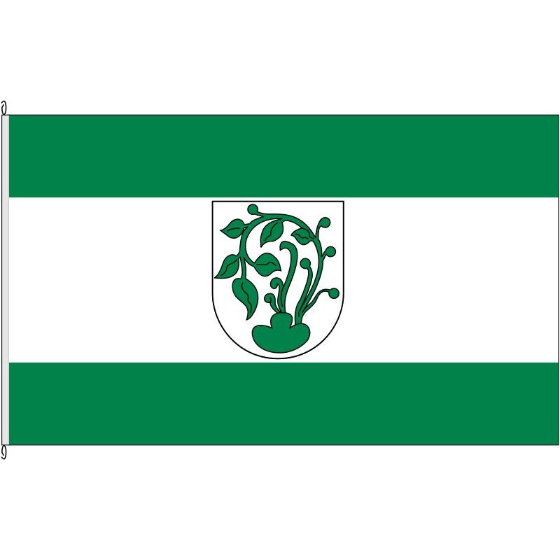 Fahne Flagge AZ-Erbes-Büdesheim