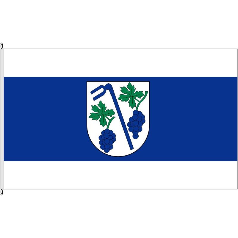 Fahne Flagge AZ-Gundersheim