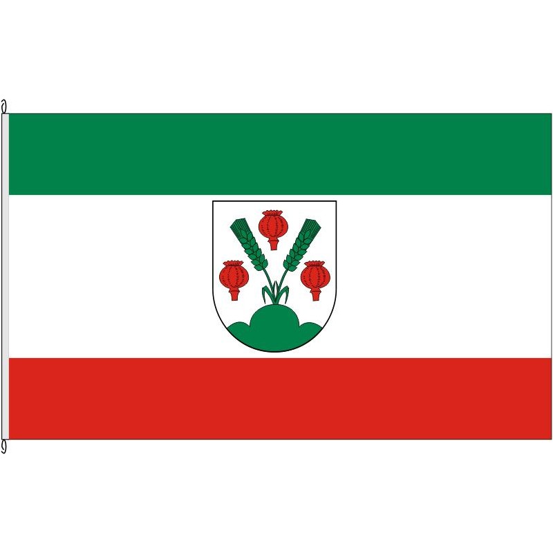 Fahne Flagge AZ-Wahlheim