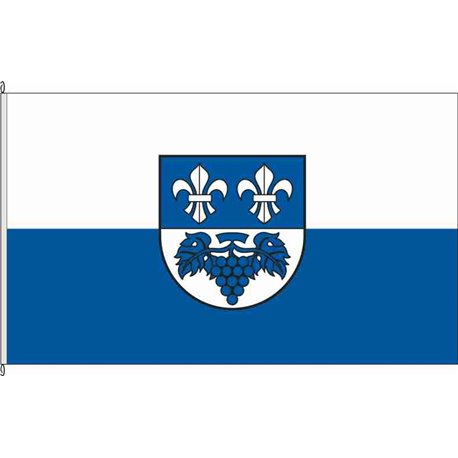 Fahne Flagge ES-Kohlberg