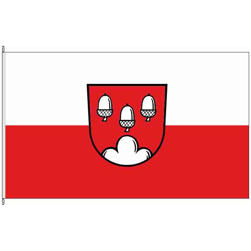 Fahne Flagge GP-Aichelberg