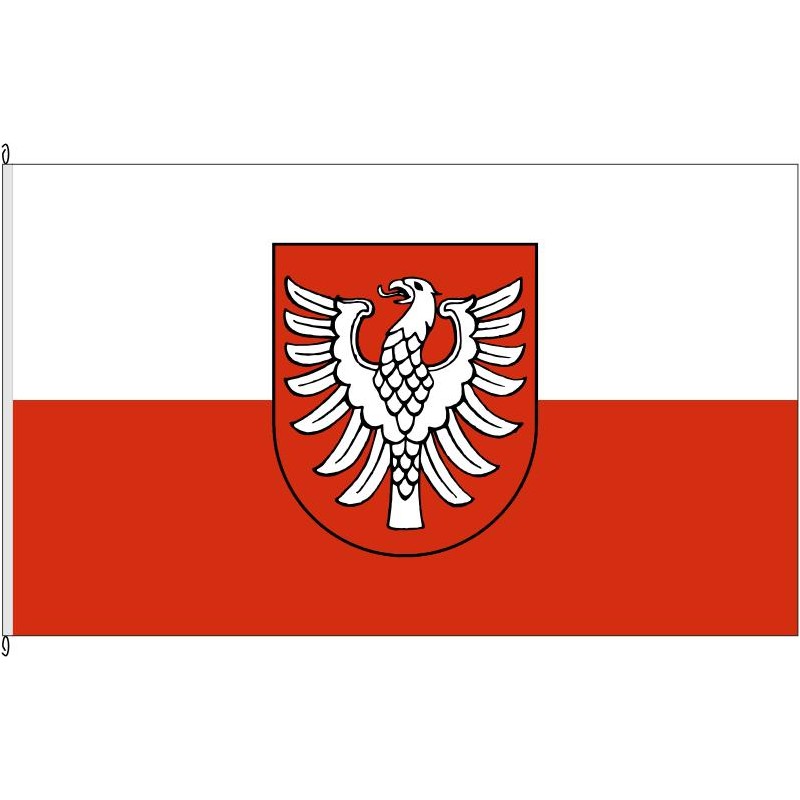 Fahne Flagge HN-Landkreis Heilbronn