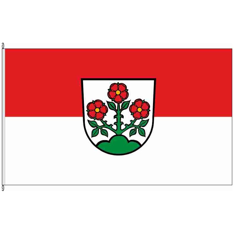 Fahne Flagge AA-Rosenberg