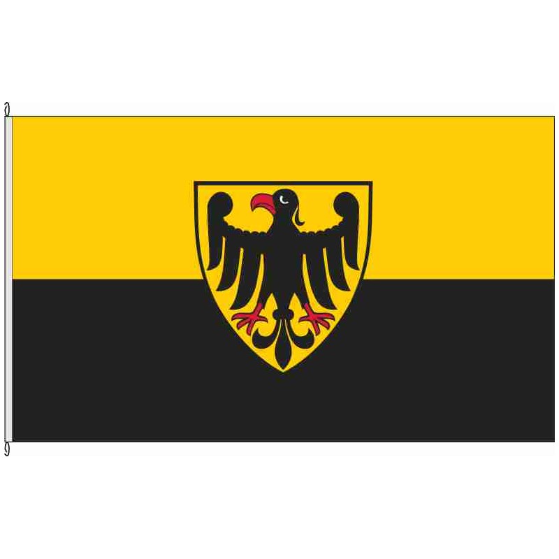 Fahne Flagge KA-Heidelsheim