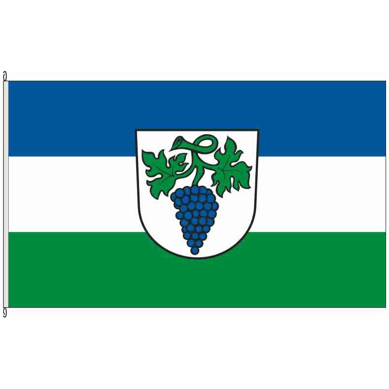 Fahne Flagge KA-Weingarten (Baden)