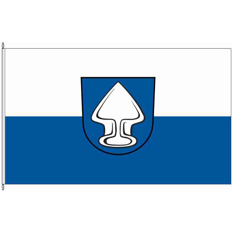 Fahne Flagge KA-Langensteinbach