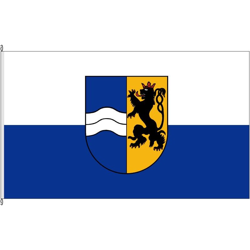 Fahne Flagge HD-Rhein-Neckar-Kreis