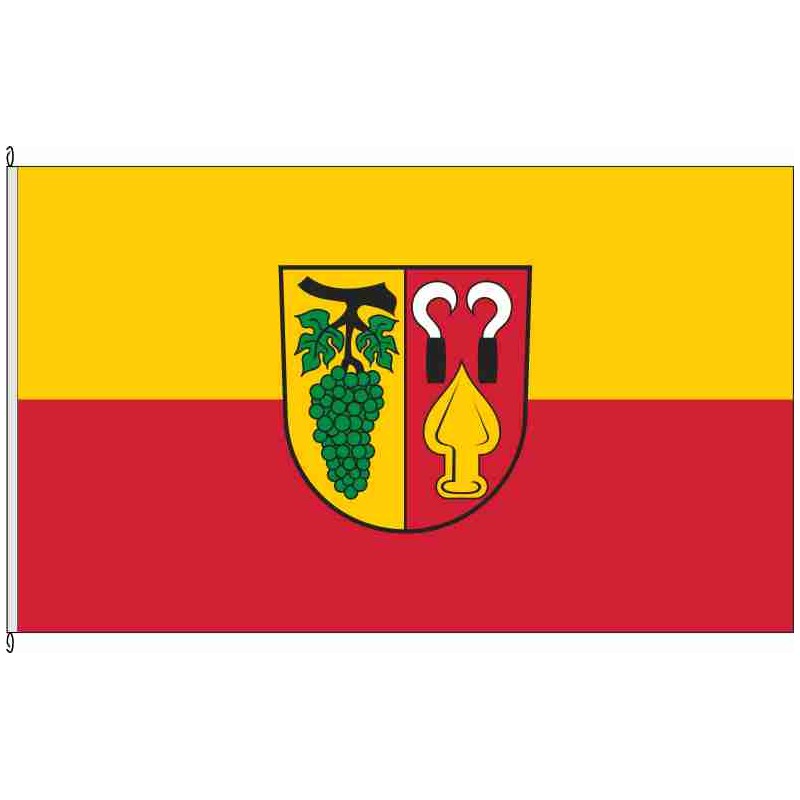 Fahne Flagge FR-Auggen
