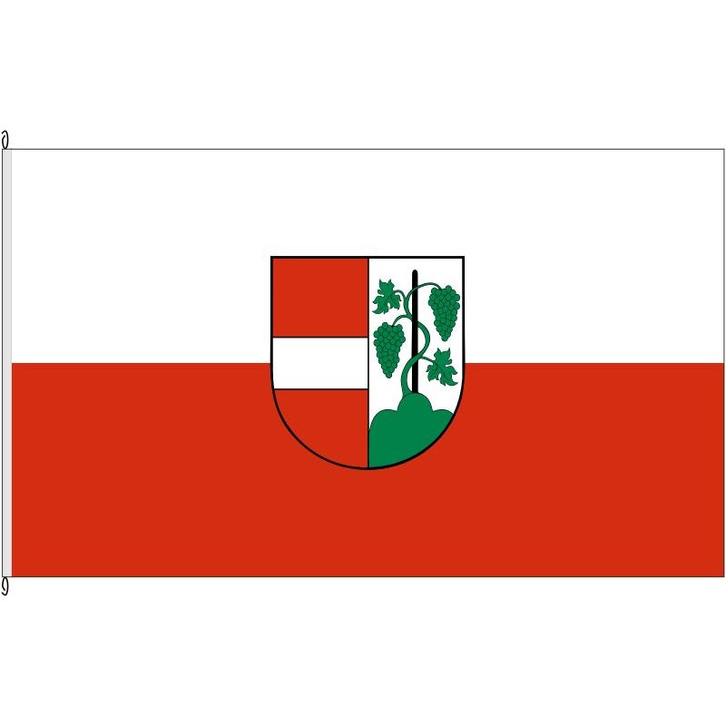 Fahne Flagge FR-Biengen