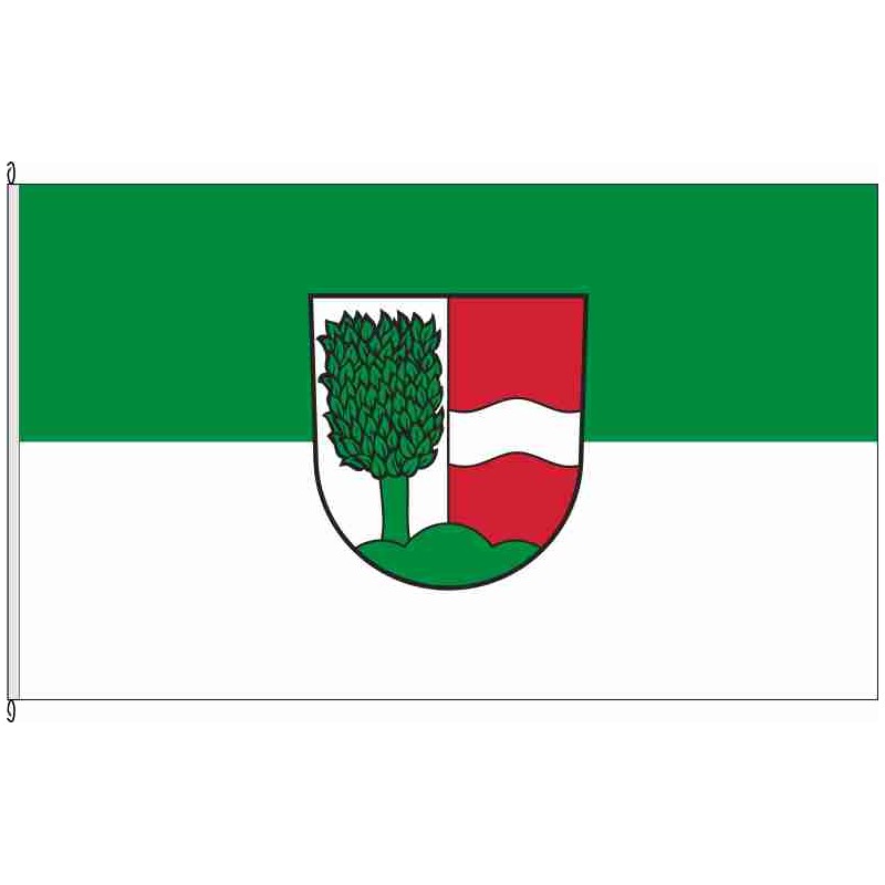 Fahne Flagge FR-Buchenbach