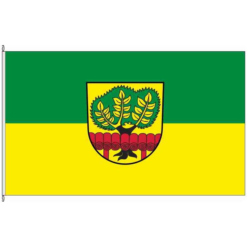 Fahne Flagge FR-Stegen
