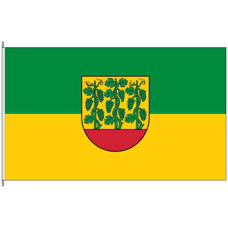 Fahne Flagge RT-Grafenberg