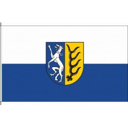 RT-Hundersingen