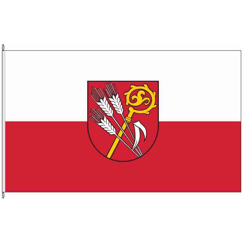 Fahne Flagge RT-Pfronstetten