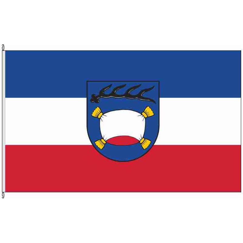 Fahne Flagge RT-Pfullingen
