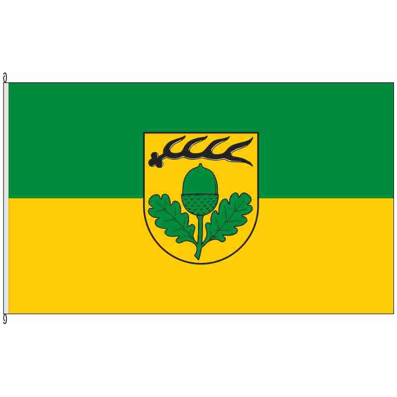 Fahne Flagge RT-Pliezhausen