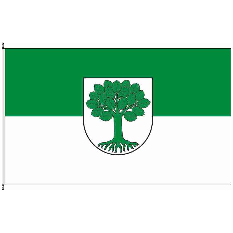 Fahne Flagge RT-Hengen