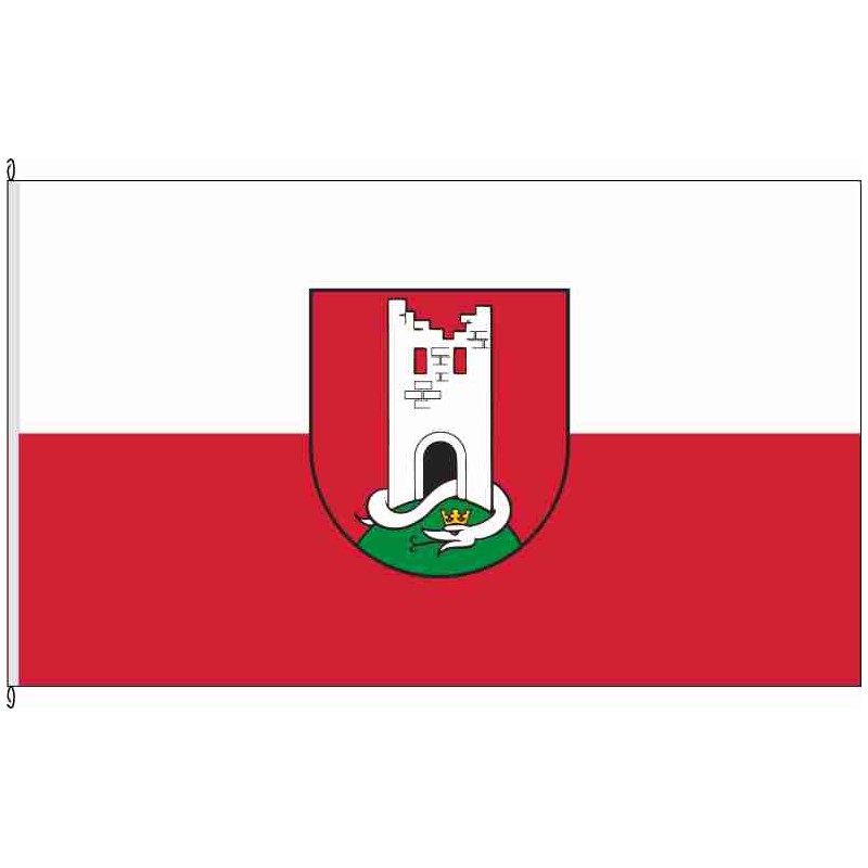 Fahne Flagge RT-Wannweil