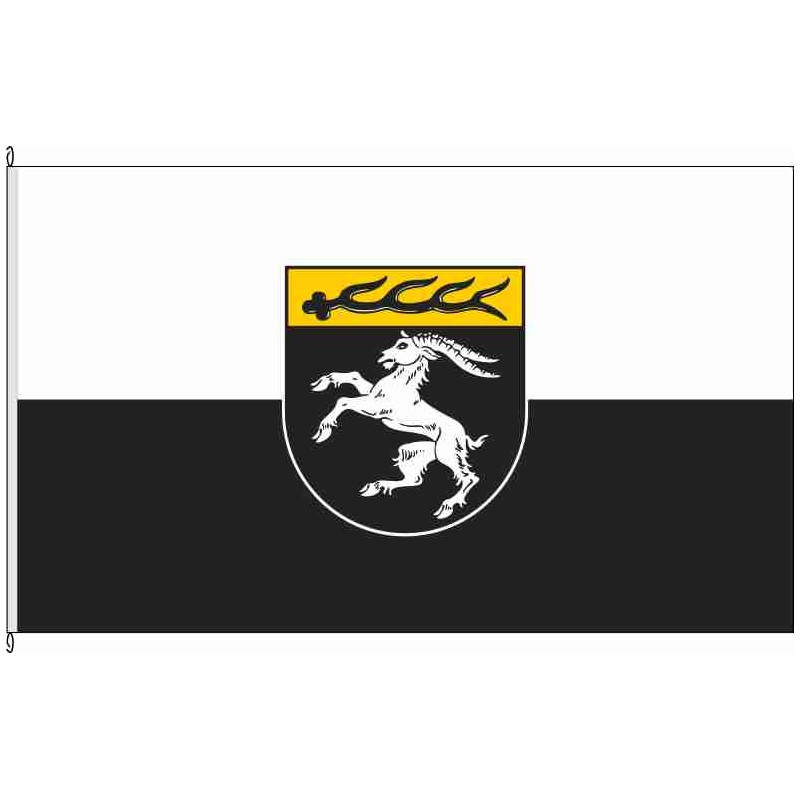 Fahne Flagge RT-Engstingen