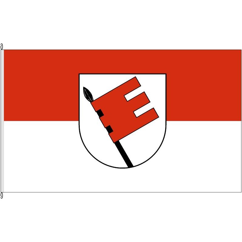 Fahne Flagge TÜ-Landkreis Tübingen