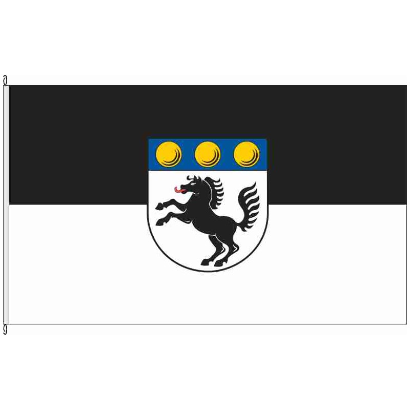 Fahne Flagge UL-Allmendingen