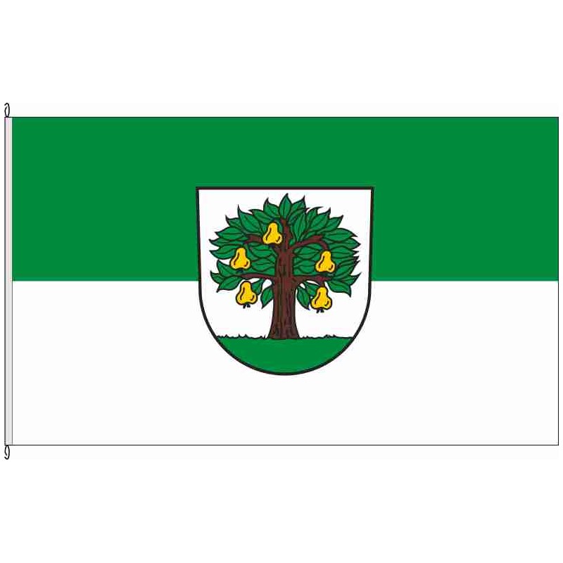 Fahne Flagge UL-Beimerstetten