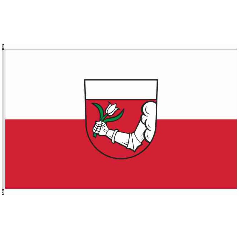 Fahne Flagge UL-Grundsheim