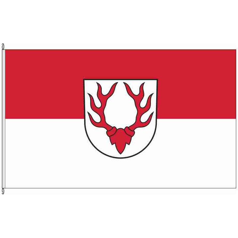 Fahne Flagge UL-Oberdischingen *