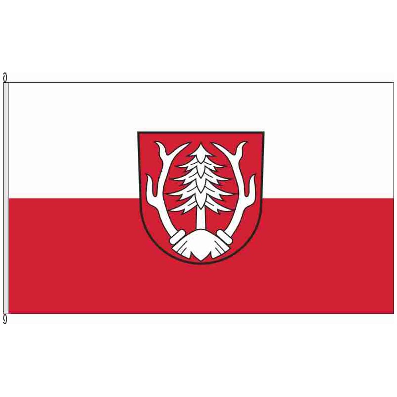 Fahne Flagge UL-Schnürpflingen