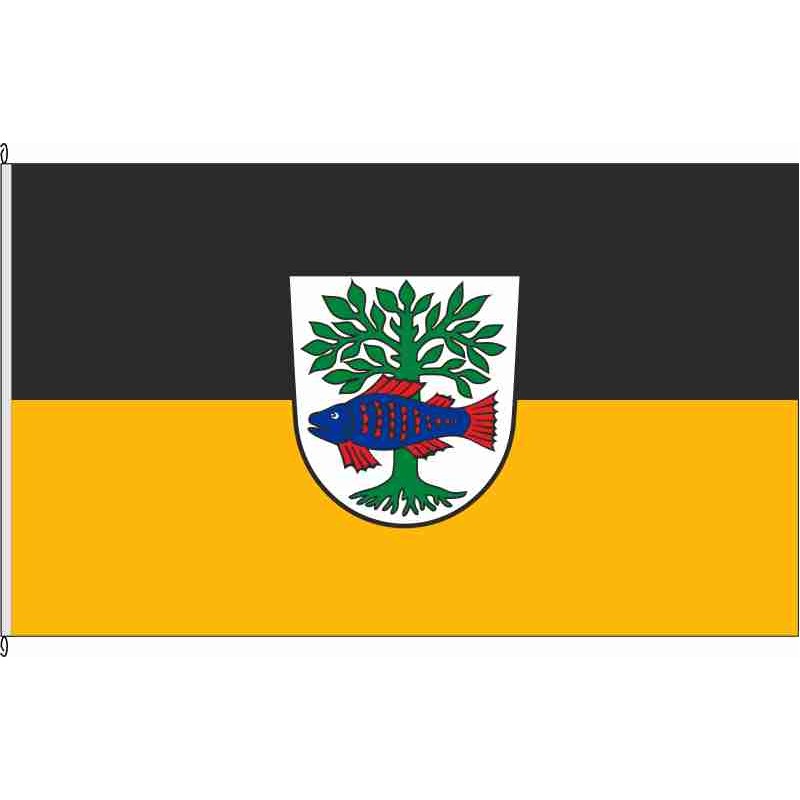 Fahne Flagge BC-Bad Buchau