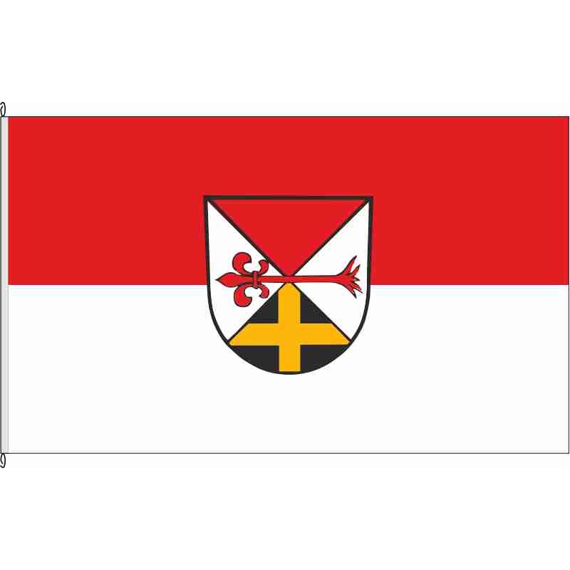 Fahne Flagge BC-Hochdorf